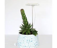 Load image into Gallery viewer, SunBlaster Halo 360 LED Plant Light, w/ USB Adaptor and Timer