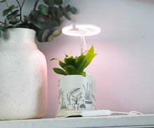 Load image into Gallery viewer, SunBlaster Halo 360 LED Plant Light, w/ USB Adaptor and Timer
