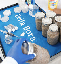 Load image into Gallery viewer, Bella Bora Still Air Box