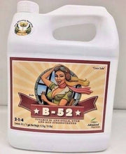 Load image into Gallery viewer, Advanced Nutrients B-52 1 GAL