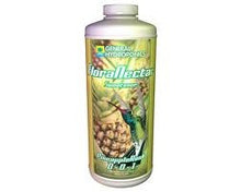 Load image into Gallery viewer, FLORANECTAR SWEETNER PINEAPPLERUSH 1 QT