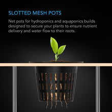 Load image into Gallery viewer, MESH NET CUPS, SLOTTED POTS WITH WIDE LIPS, 3-INCH, 25-PACK