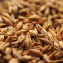 Load image into Gallery viewer, AVANGARD MALZ PREMIUM MUNICH MALT LIGHT 1 LB (8L)