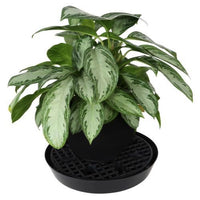 Gro Pro NX Level Pot Elevator - 18.5 in