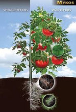 Load image into Gallery viewer, Xtreme Mykos Pure Mycorrhizal Inoculum, Granular, 100 g Singles