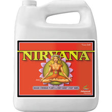 Load image into Gallery viewer, NIRVANA 4L