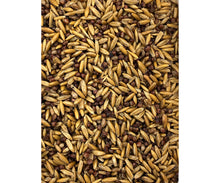 Load image into Gallery viewer, Pacific Substrates Goonie Grains™, 4 lb bag