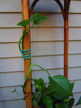 Load image into Gallery viewer, Garden Soft Tie