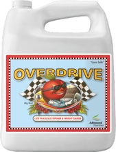 Load image into Gallery viewer, Overdrive 4L