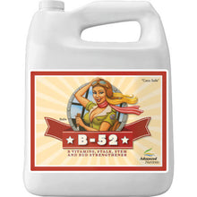 Load image into Gallery viewer, Advanced Nutrients B-52 1 GAL