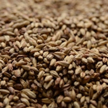 Load image into Gallery viewer, BRIESS 2-ROW VICTORY MALT 10 LB