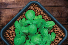 Load image into Gallery viewer, GROW!T Clay Pebbles, 4 mm-16 mm, 40 L