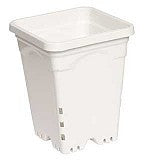 Load image into Gallery viewer, 6 x 6 Square White Pot  8 tall