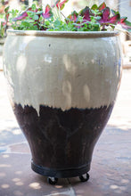 Load image into Gallery viewer, Plant Dolly Black 12 in Round