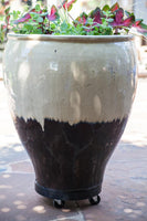 Plant Dolly Black 12 in Round