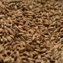 Load image into Gallery viewer, BRIESS BONLANDER® MUNICH 10L MALT 50 LB