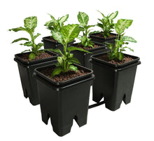 Load image into Gallery viewer, Active Aqua Grow Flow 2.0 Expansion Kit w/six 5 gal Square Pots