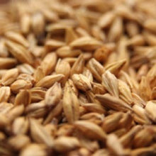 Load image into Gallery viewer, AVANGARD MALZ PREMIUM MUNICH MALT DARK (15L)