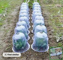 Load image into Gallery viewer, SMALL DOME. 16CM/6.3 INCHES X 19.5/7.68INCHES