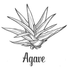 Load image into Gallery viewer, Premium Agave Syrup - 25 kg
