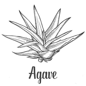 Premium Agave Syrup - 25 kg