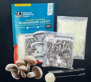 Shiitake Mushroom Outdoor Log Starter Kit