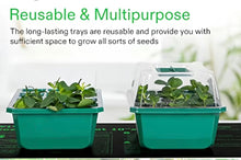 Load image into Gallery viewer, Vivosun  12 cell seed starter tray, humidity dome kit