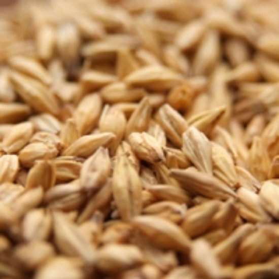 Weyermann® Munich Type 2- 1 lb