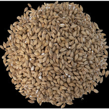 Load image into Gallery viewer, 1.5 °L - Simpson - Peated Smoked Malt 5 lb