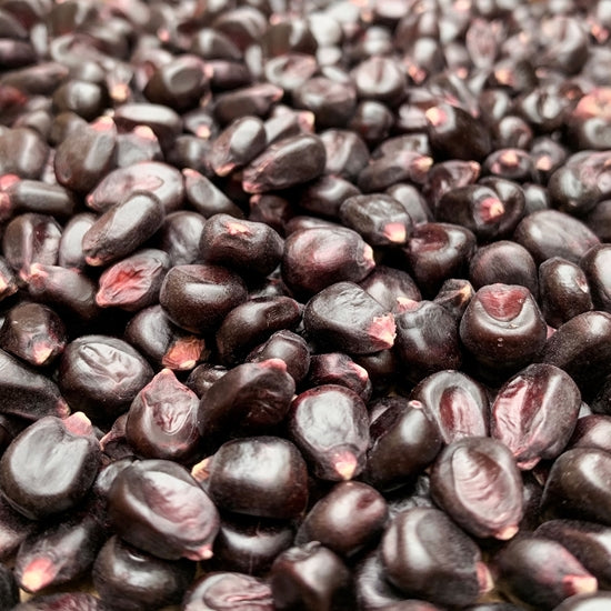 Purple Corn Whole Non-GMO 1 lb