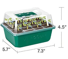 Load image into Gallery viewer, Vivosun  12 cell seed starter tray, humidity dome kit