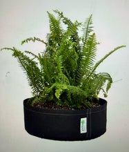 Load image into Gallery viewer, GeoPot® Fabric Pot – Squat Pot 7 gal