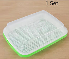 Load image into Gallery viewer, Seedling Trays for Sprouting Seeds