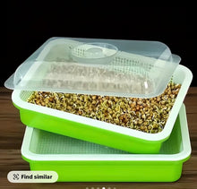 Load image into Gallery viewer, Seedling Trays for Sprouting Seeds