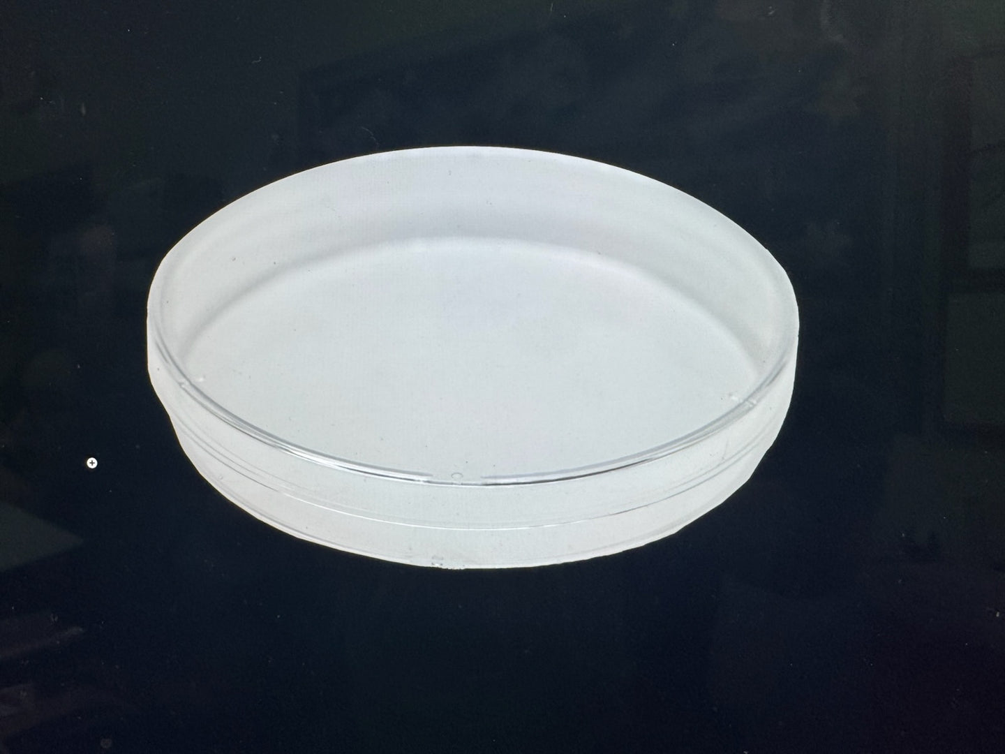 Sterile Petri Dishes pack of 10