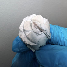 Load image into Gallery viewer, P. Cubensis “B-Xtra” Liquid Culture Syringe