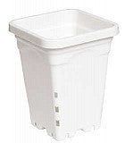 Active Aqua 5" x 5" Square White Pot, 7" Tall