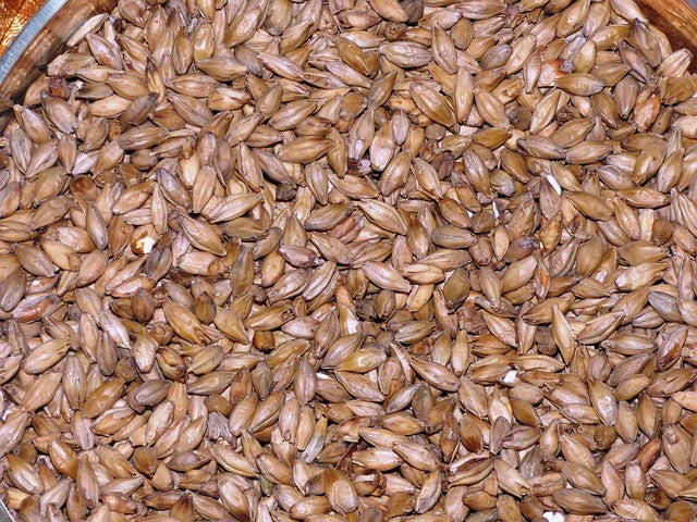 BRIESS 2-ROW CARAMEL 90L MALT 1 LB