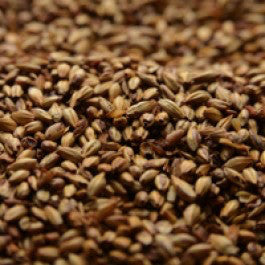 Briess 2-Row Caramel 40L 50 lb