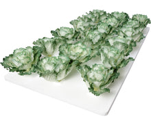 Load image into Gallery viewer, Lettuce Raft, 18 Hole, 2&#39;x4&#39;
