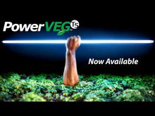 Load and play video in Gallery viewer, PowerVEG T5 4&#39; HO 54W