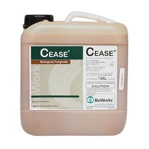 Cease Biofungicide - 1 gal