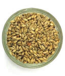 AVANGARD MALZ PREMIUM WHEAT MALT 1 LB