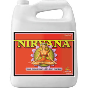 NIRVANA 4L