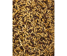 Load image into Gallery viewer, Pacific Substrates Goonie Grains™, 4 lb bag