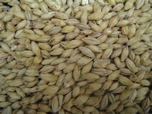 BRIESS PALE ALE 2-ROW MALT 1 LB