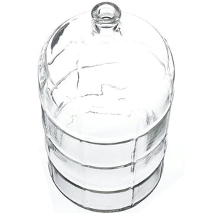 6 GAL GLASS CARBOY