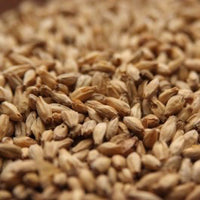 AVANGARD MALZ PREMIUM 6-ROW MALT 1 LB (2L)