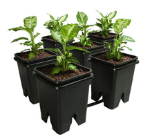 Load image into Gallery viewer, Active Aqua Grow Flow 2.0 Expansion Kit w/six 5 gal Square Pots