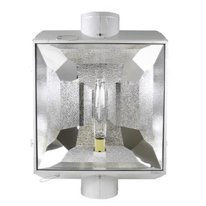 Evolution 8 in Air-Cooled Reflector